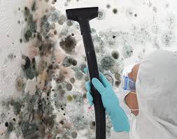 Forensic Mold Investigation in Poteet, TX